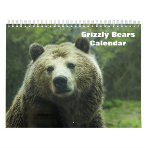 Calendrier Grizzly Bears 2025