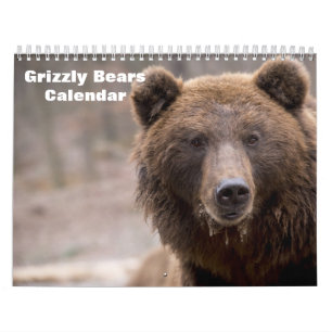 Calendrier Grizzly Bears 2025
