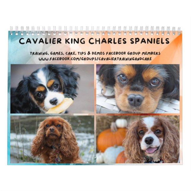 Calendrier Groupe FB Cavalier King Charles Spaniel (Protection)
