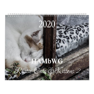 Calendrier HAMbyWG - Chats et Chatons Rustiques 2