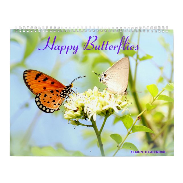 Calendrier Happy Butterflies (Protection)