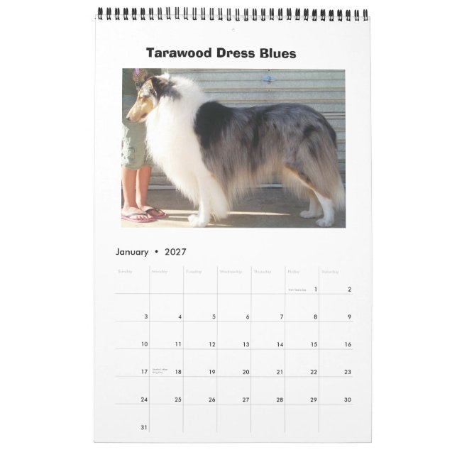 Calendrier Harley Collies (Jan 2027)