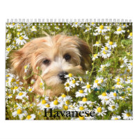 Calendrier Havanais