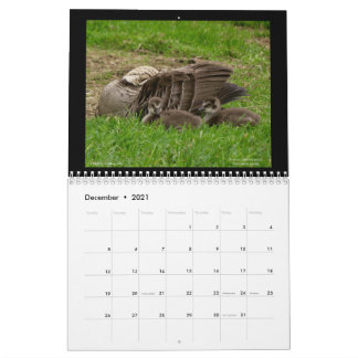 Calendrier Hawaii's Jewels 2021