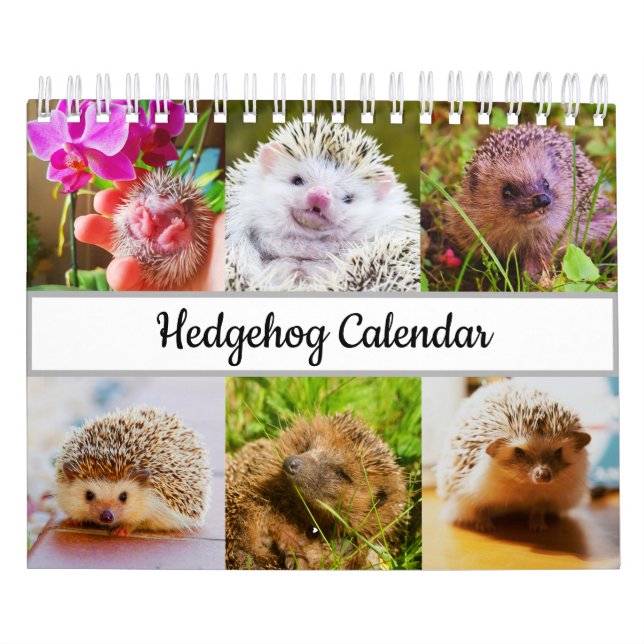Calendrier Hérisson (Protection)