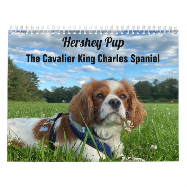 Calendrier Hershey Pup Cavalier King Charles Spaniel Calendri (Protection)