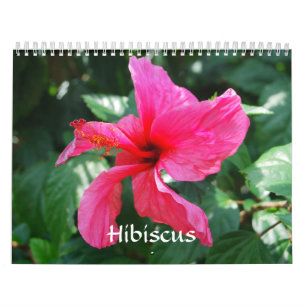 Calendrier Hibiscus