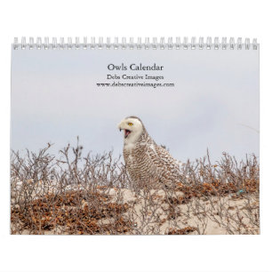 Calendrier Hiboux 2025