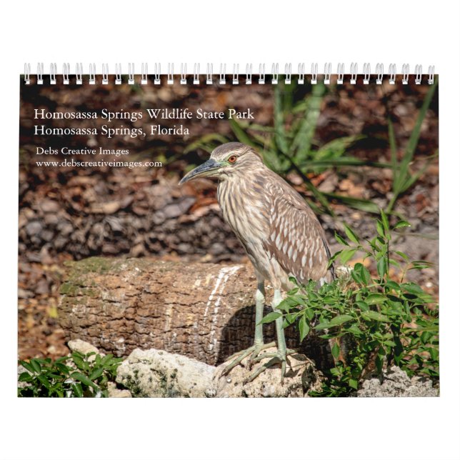 Calendrier Homosassa Springs Wildlife Park 2026 (Protection)