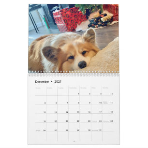 Calendrier Hudson et Fluffy Corgi 2021