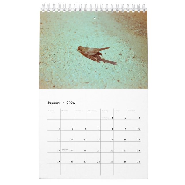 Calendrier Humeur : 2019 (Jan 2026)