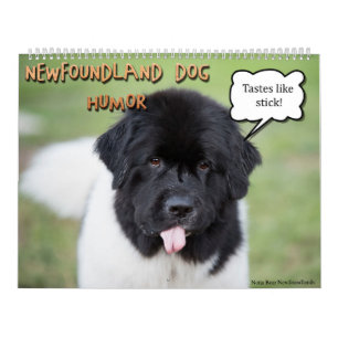 Calendrier Humour de Newfoundlands d'ours de Notta
