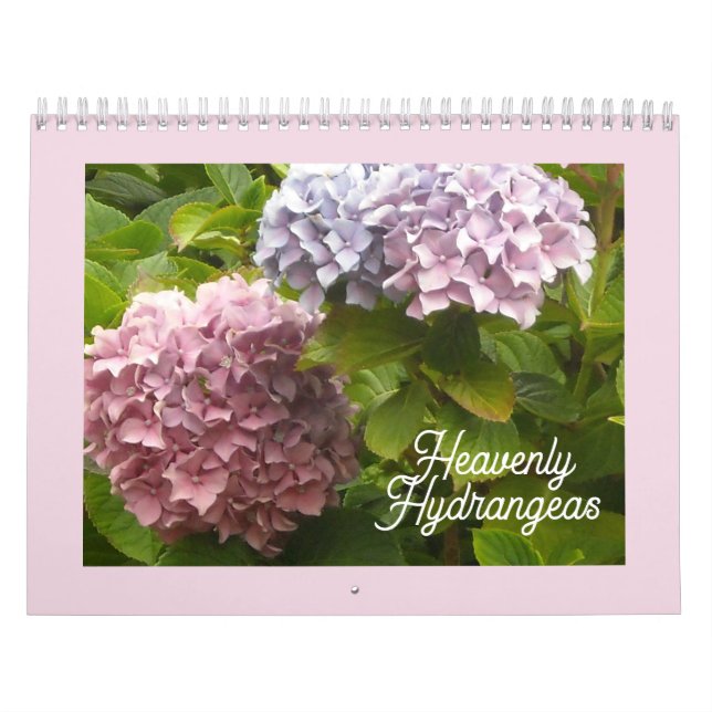 Calendrier Hydrangeas Célestes (Protection)