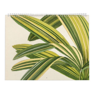 Calendrier Illustration de feuilles Vintages botaniques rares