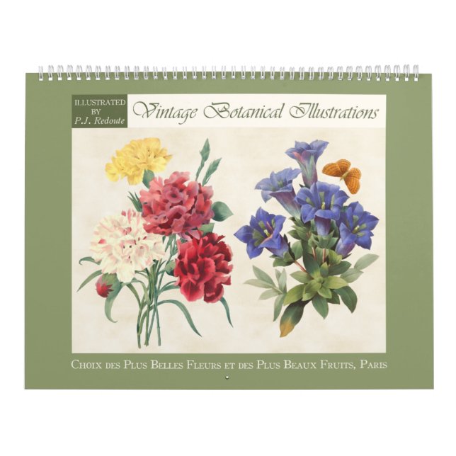 Calendrier Illustrations botaniques vintages 2026 (Protection)