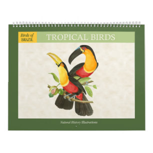 Calendrier Illustrations d'oiseaux tropicaux vintage 2027