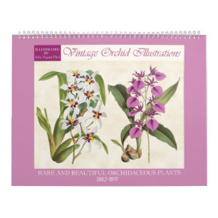 Calendrier Illustrations vintages de l'orchidée botanique 202