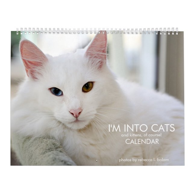 Calendrier I'm Into Cats and Kittens of Course 2020 Calendrie (Protection)