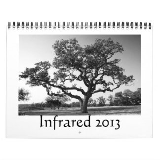 Calendrier Infrarouge - 2013
