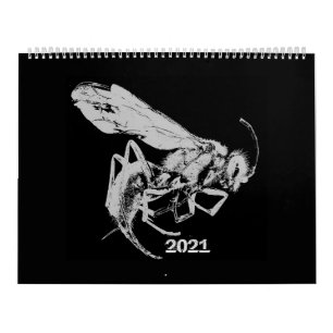 Calendrier Insectes de style minimaliste noir et blanc - Bugs