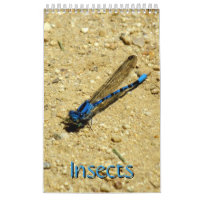 Calendrier - Insectes, vol.2