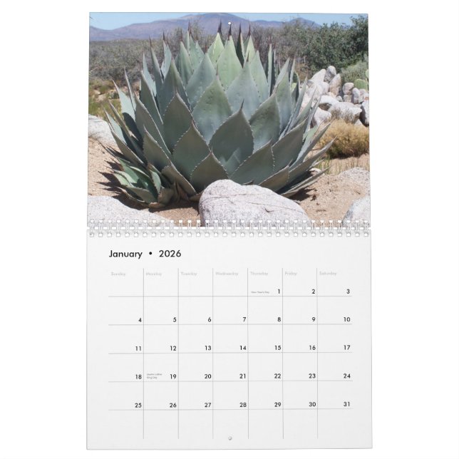 Calendrier Instantanés (Jan 2026)