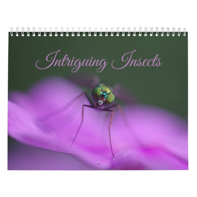 Calendrier intrigant d'insectes (Protection)