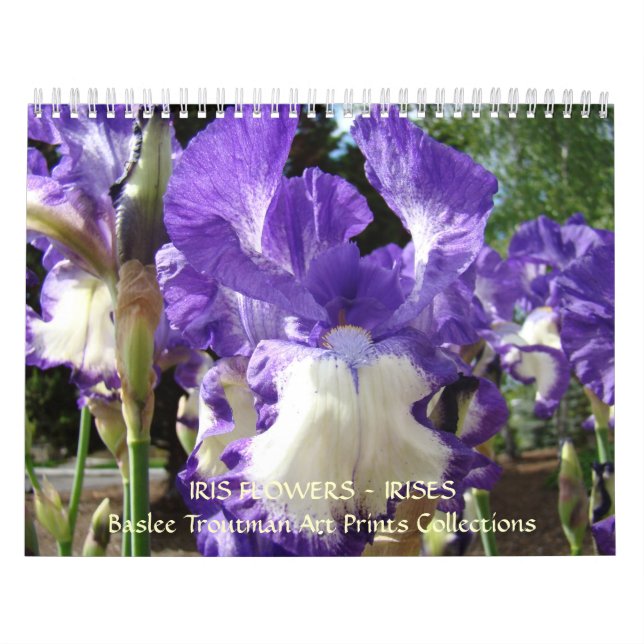 CALENDRIER Iris Calendrier Fleurs d'Iris (Protection)