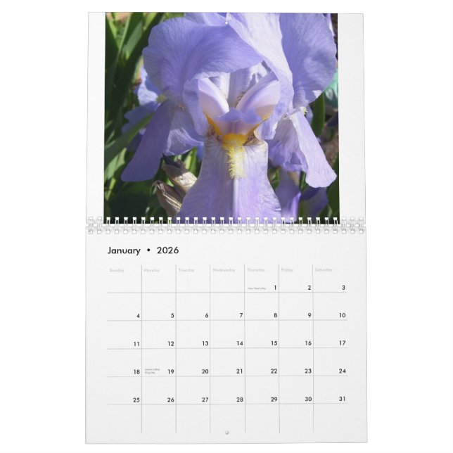 Calendrier Iris dans le jardin (Jan 2026)
