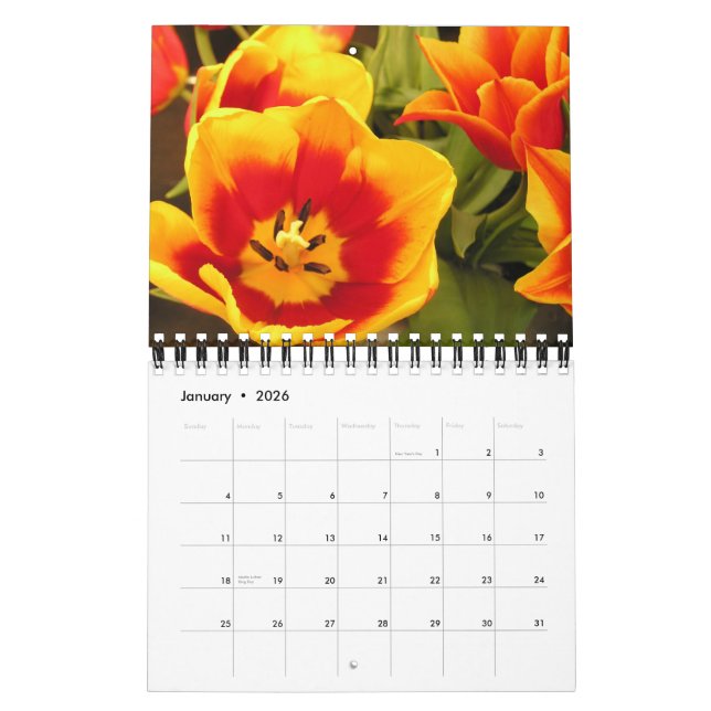 Calendrier irlandais de festival de tulipe (Jan 2026)