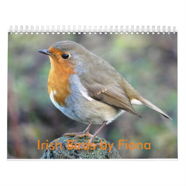 Calendrier irlandais d'oiseaux (Protection)