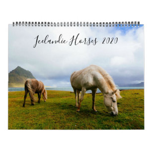 Calendrier Islandais Horses Faune Photographie Année Personn