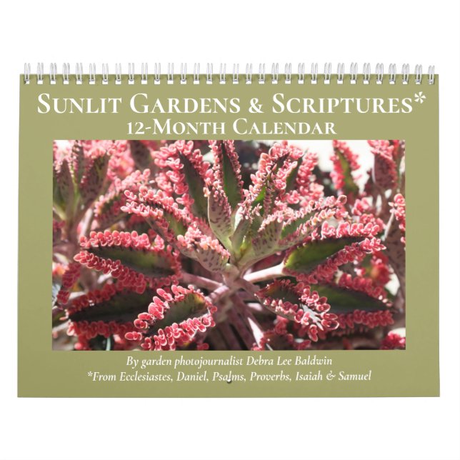 Calendrier Jardins et écritures éclairés (Protection)