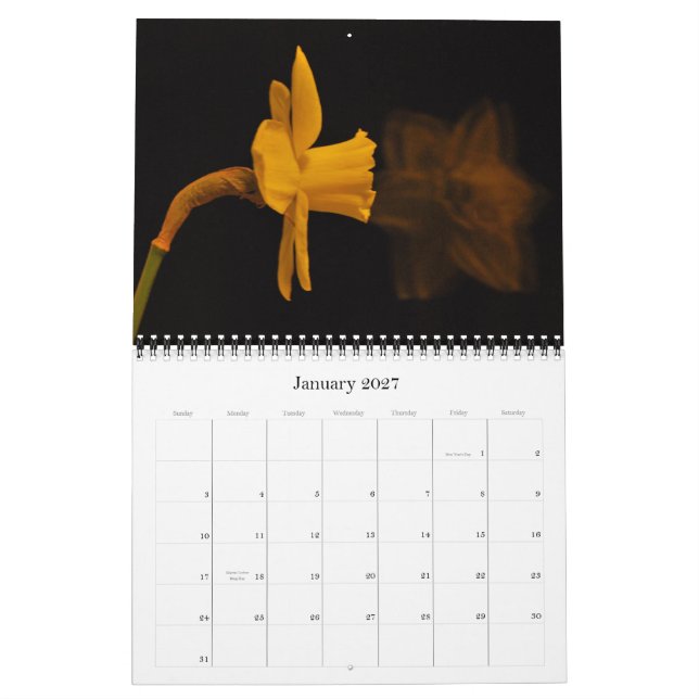 Calendrier Jonquilles (Jan 2027)