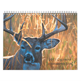 Calendrier Joshua Spies 2011