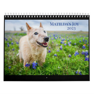 Calendrier Joy 2023 de Matilda