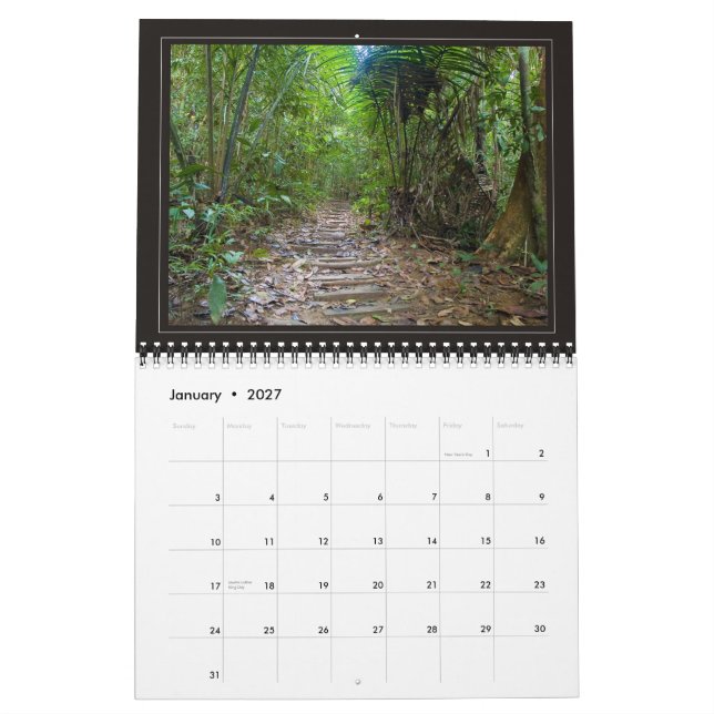 Calendrier JUNGLE - 2010, beaux paysages… (Jan 2027)