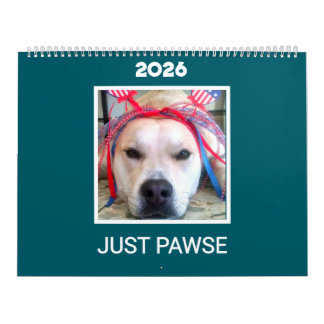 Calendrier 'Just Pawse – 2026' Pet Photo Minimalist Teal