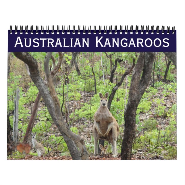 Calendrier kangourous australiens 2027 (Protection)