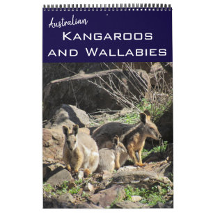 Calendrier kangourous wallabies 2027