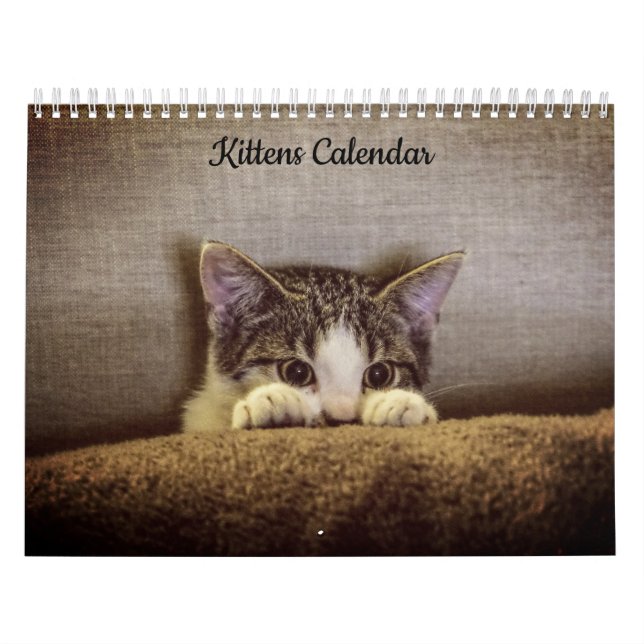 Calendrier Kittens 2026 (Protection)
