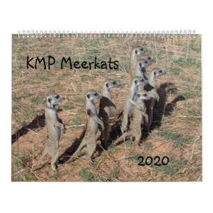 Calendrier KMP Meerkats - 2020