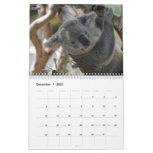 Calendrier Koala