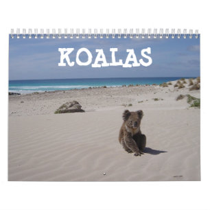 Calendrier Koala