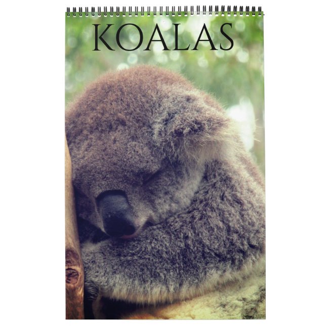Calendrier koalas australiens 2027 (Protection)