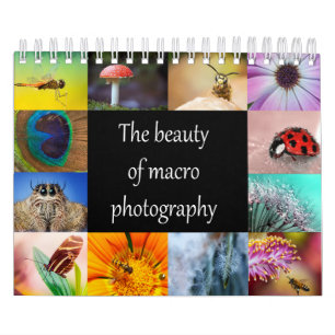 Calendrier La beauté de la macro photographie