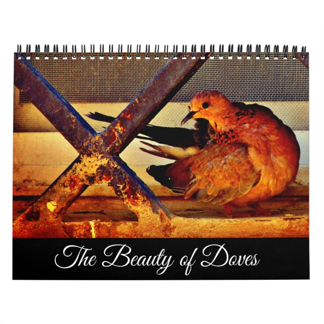 Calendrier La beauté des colombes (Protection)