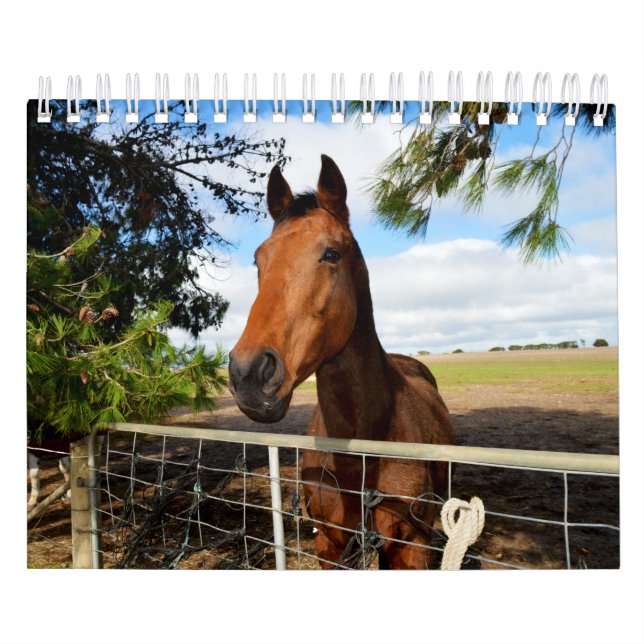Calendrier La beauté du cheval, (Protection)