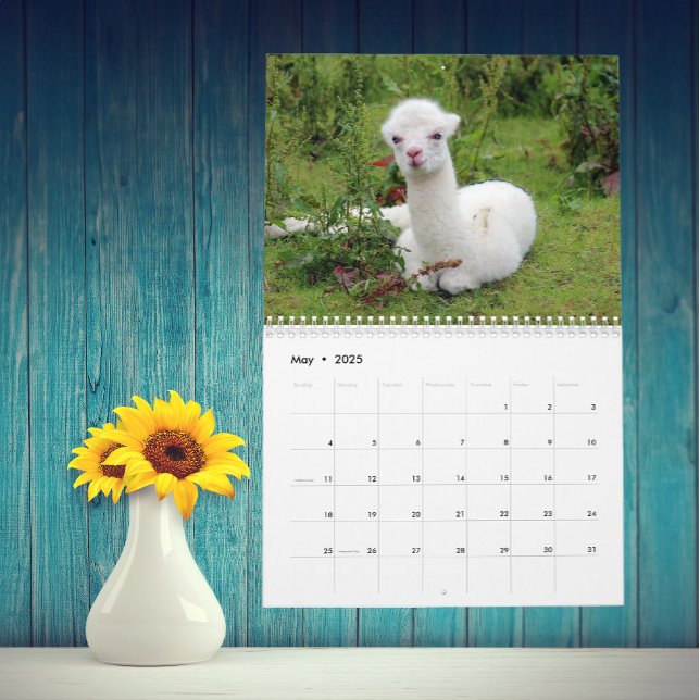 Calendrier La coutume Llama et Alpaca Any Year (Créateur téléchargé)