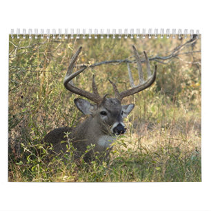 Calendrier La faune 2008 de Henry - customisée